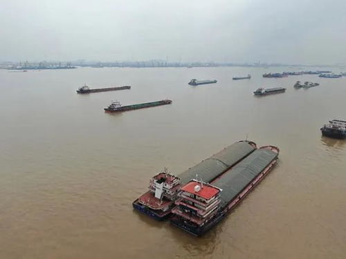 高压态势 江阴海事 地毯式 整治内河船舶涉海运输